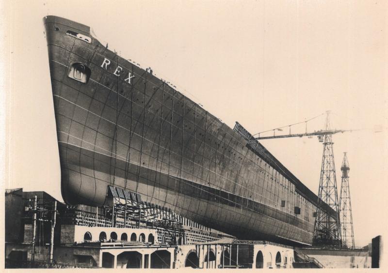 Rex (t/n) - in costruzione