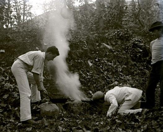 Le castagne cotte nel bosco (taglio)