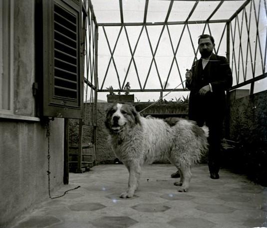 Il cane Tom (San Bernardo) e il proprietario Valesi