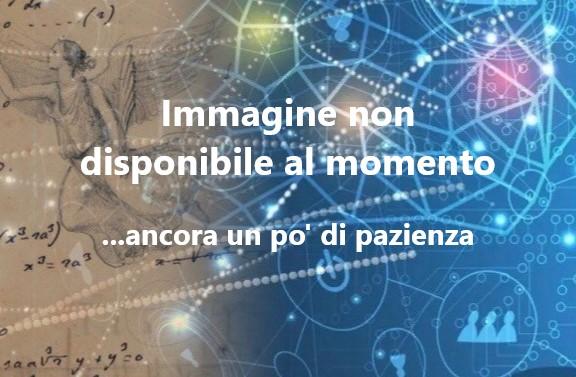 &quot;Lezioni di meccanica applicata alle arti&quot;