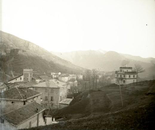 Scoffera
