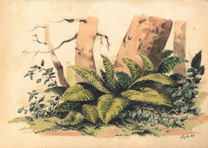 Disegni e acquerelli