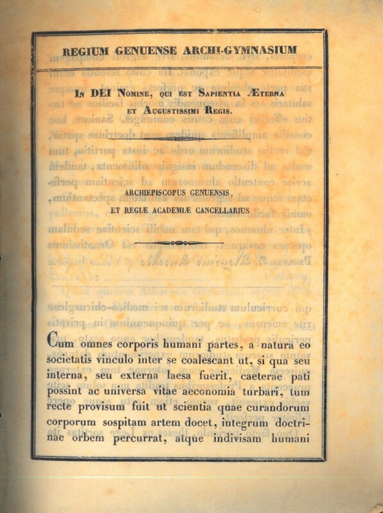 Laurea in Medicina di Luigi Ansaldo