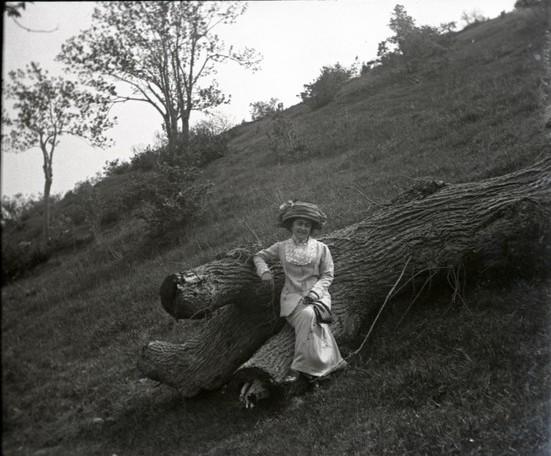 Lina seduta su un tronco d&#039;albero
