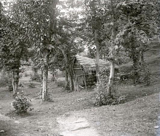 Campopiano - cascina