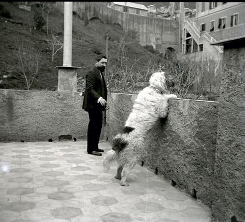 Figura maschile (Valesi) con il cane Tom