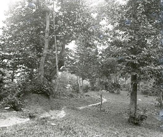 Serino -  bosco dal lago delle Rane