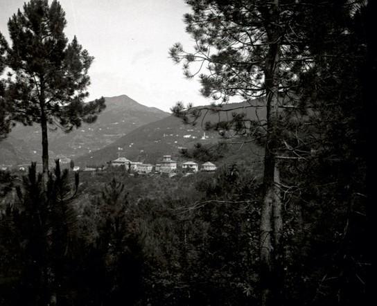 Serino - vista dalla pineta