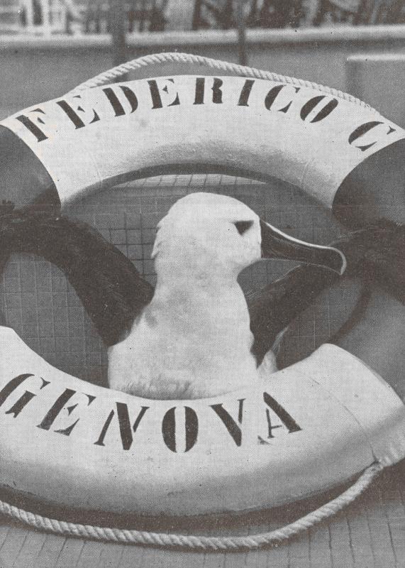 Notiziario &quot;C&quot;, n. 1, 1963