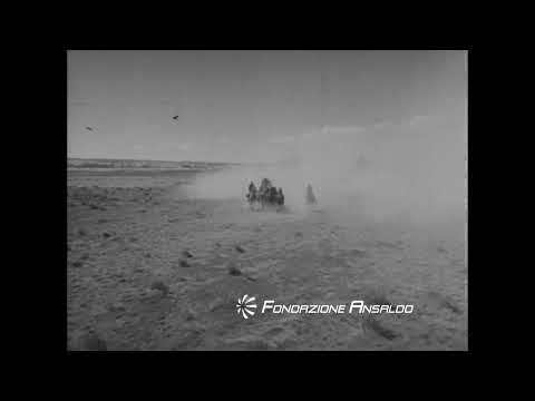 Fort Apaches