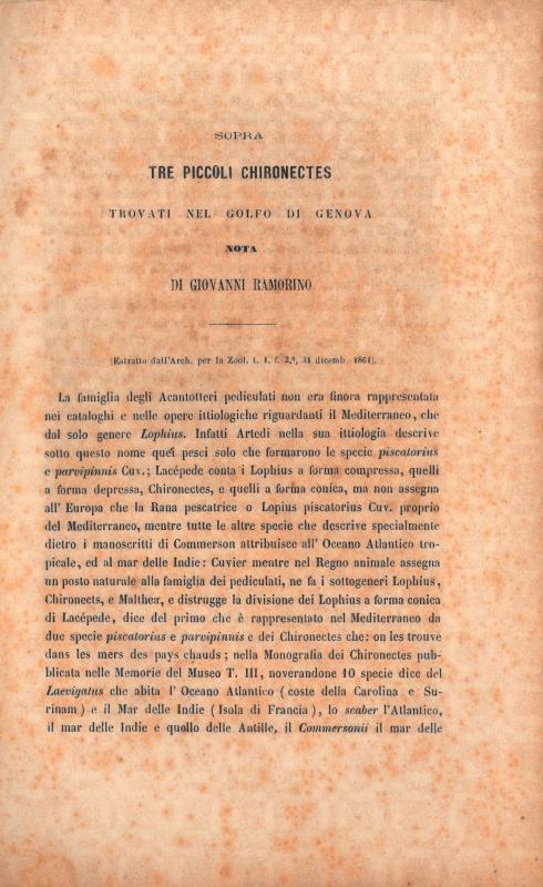 Nota di Giovanni Ramorino in "Tre piccoli Chironectes" - Archivio per la zoologia 31 dicembre 1861, p. 1