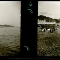 Spiaggia di Sturla - Lion esce dallacqua (originale)