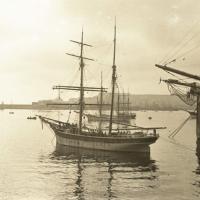Torpedinieri alle Grazie (taglio)
