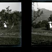 La rotonda (originale)